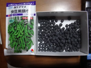 s-05-1枝豆タネ