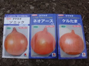 s-04-1玉葱種袋